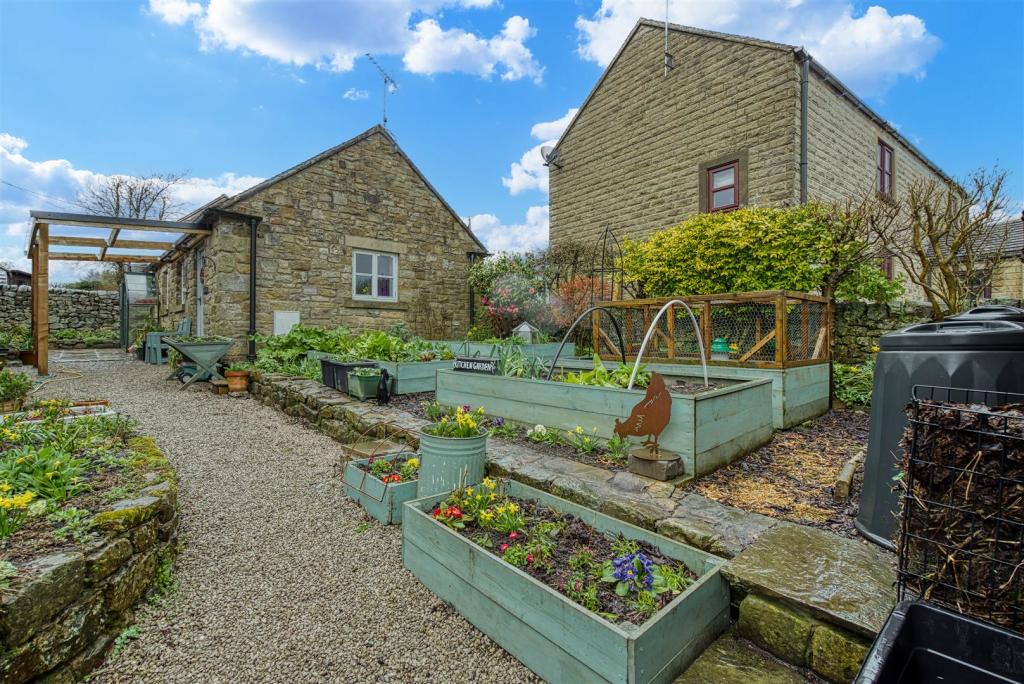 Vegetable Garden