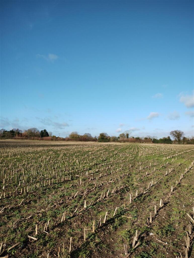 103949-003.jpg