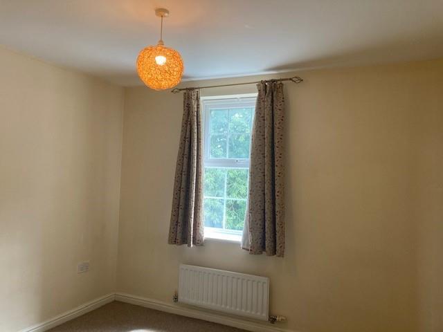 photo 7.jpg