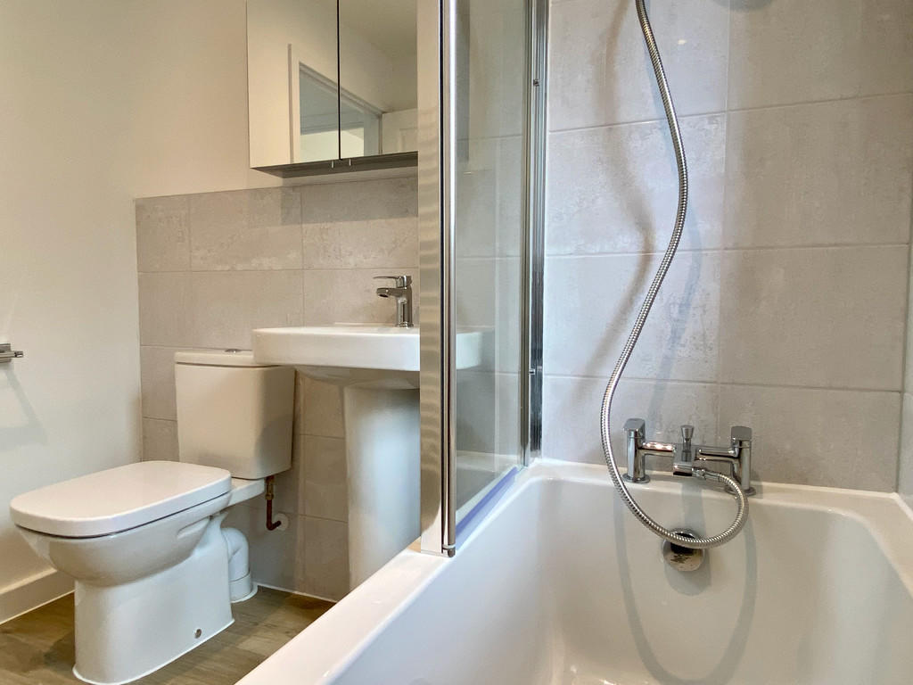 Shower in Bathroo...