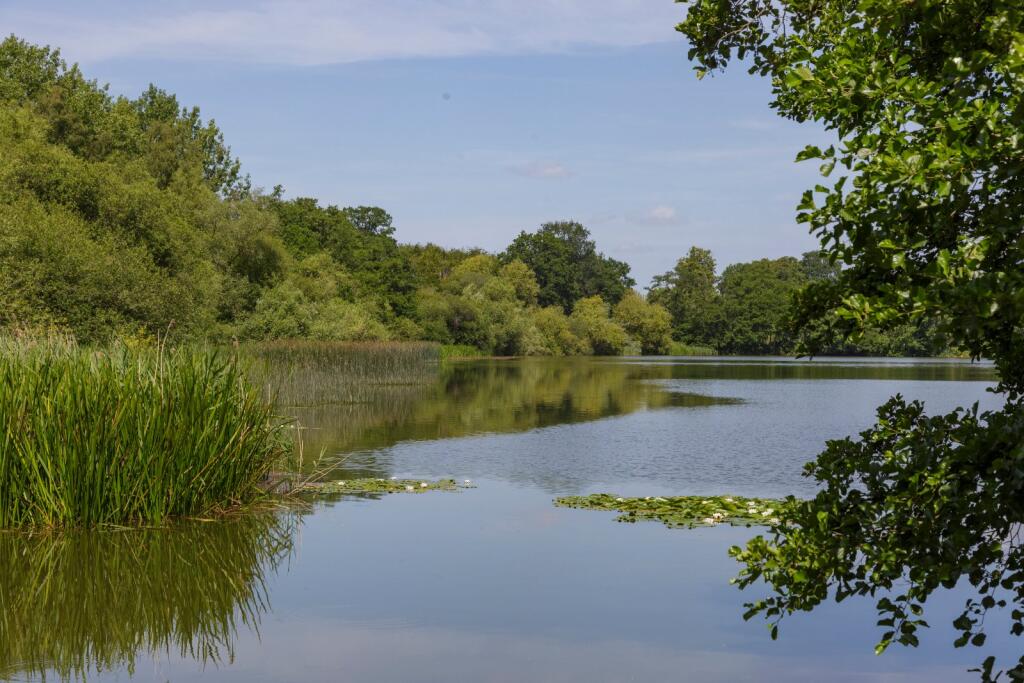 Lake