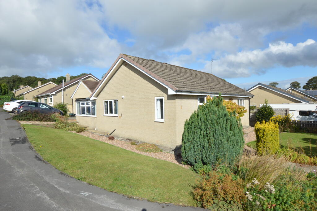 DSC 0033 T202510131056.jpg