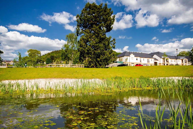 Pond