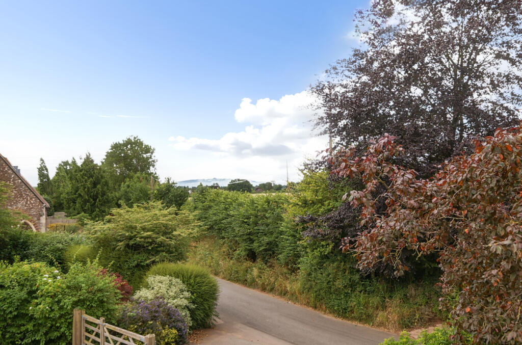 1310114-14-685996...