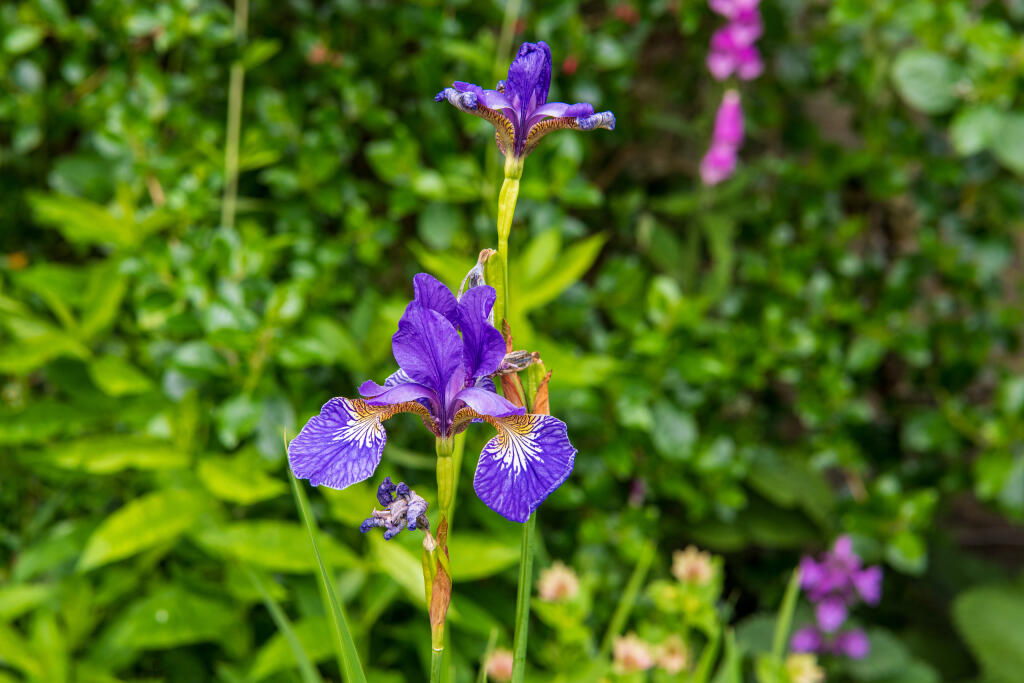 Greystoke House Rothbury-65