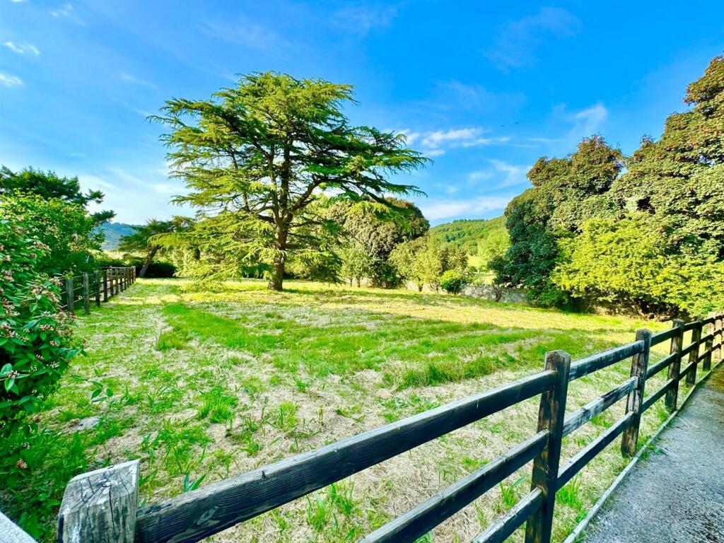 PHOTO-2024-07-16-21-55-21 (10).jpg