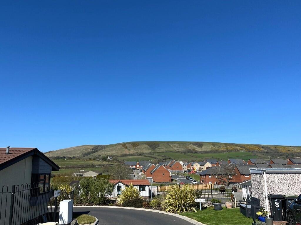 View from garden