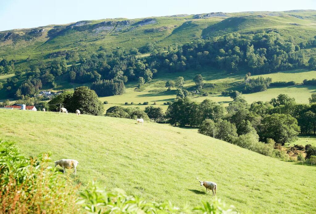 Additional Photograph Of Landscape