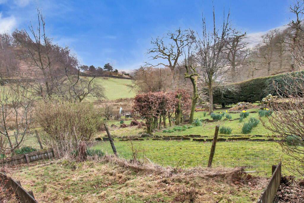 View from Garden