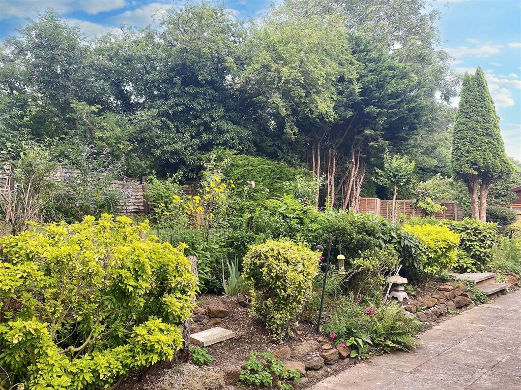 New garden.jpg