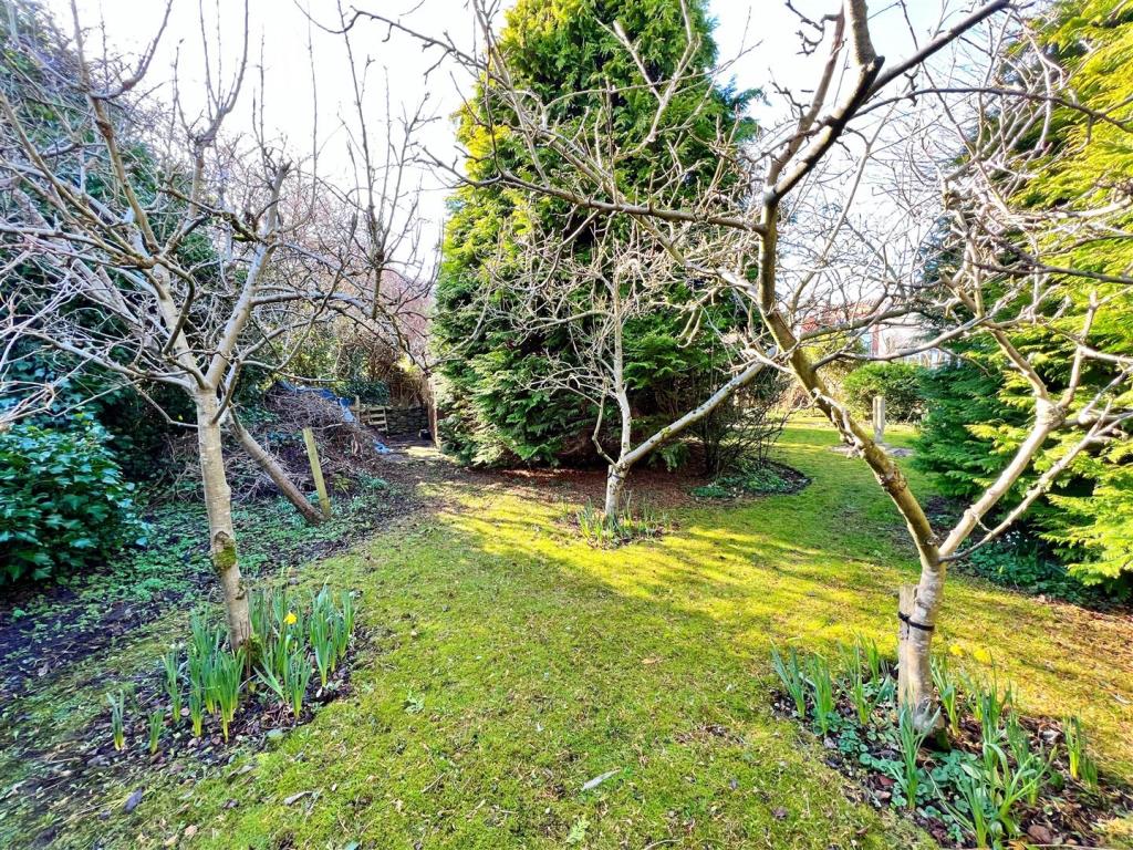 Garden 14.jpg