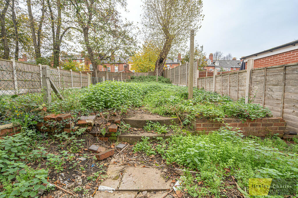 20241104-DSC01182...