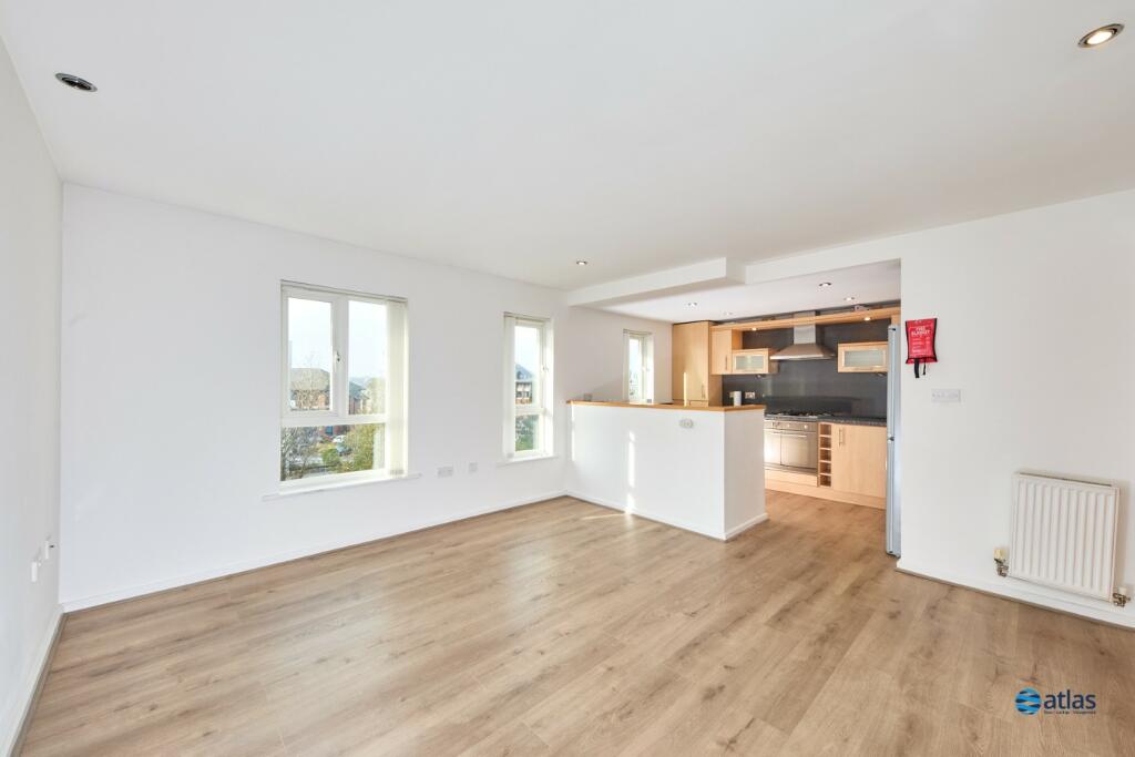 Kitchen / Living Area