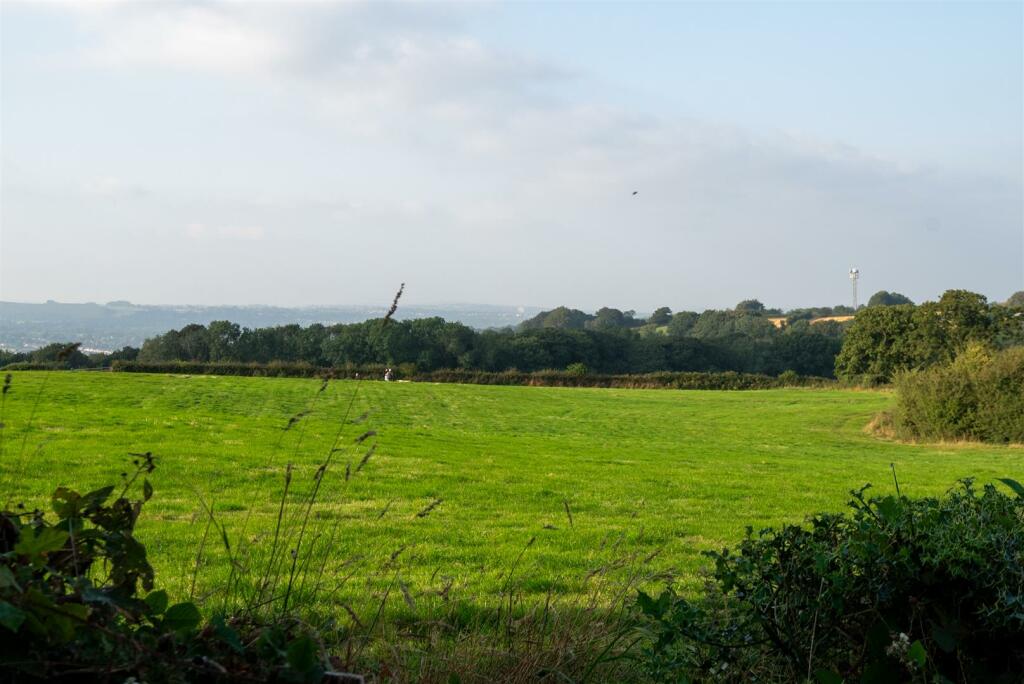 DSC_2617.jpg