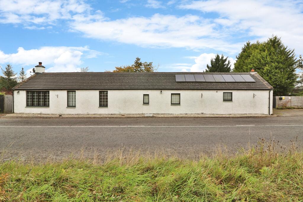 The Property