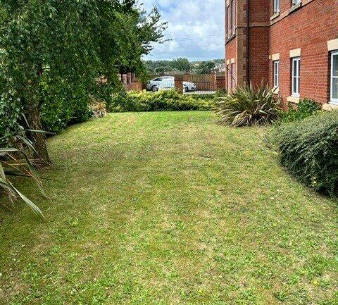 Communal Garden