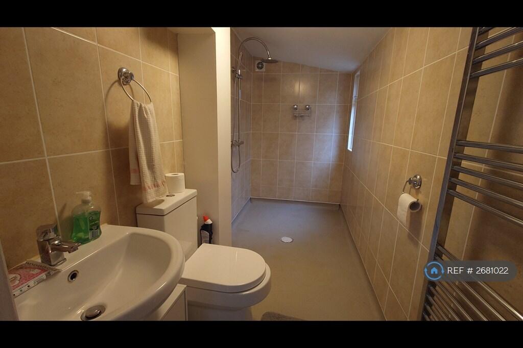 Downstairs Shower