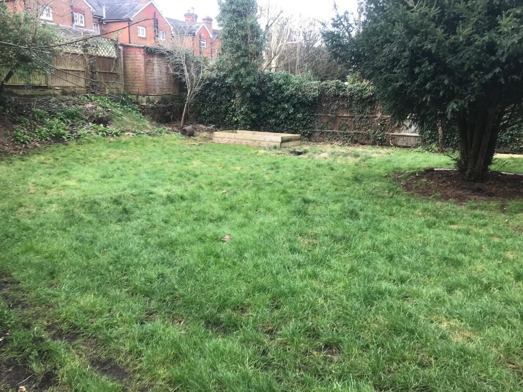 Garden 2