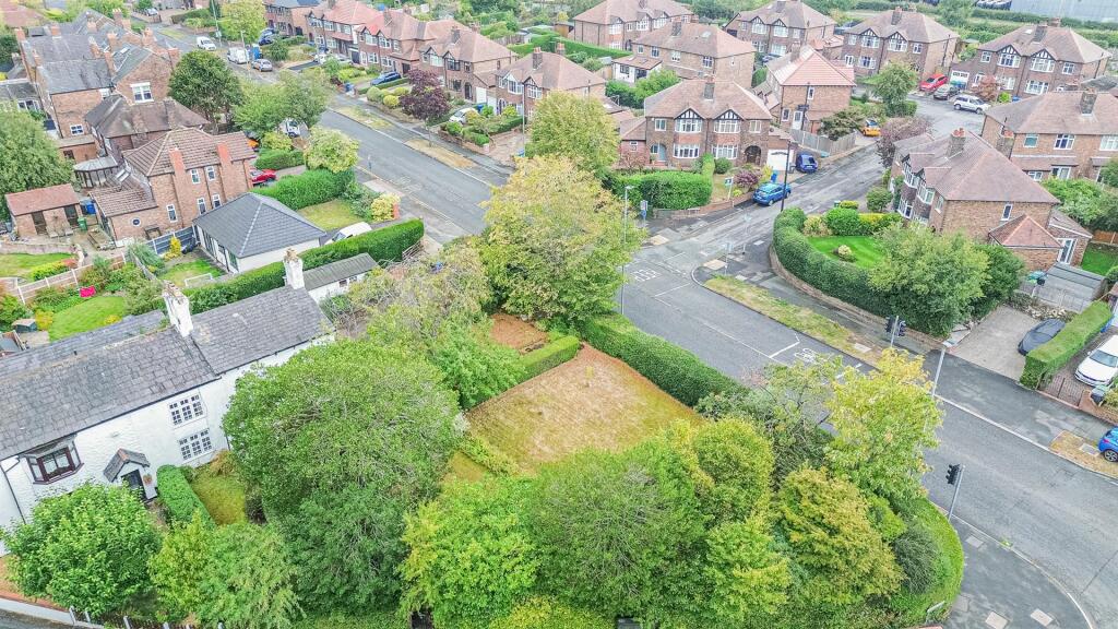 Elevated Garden View