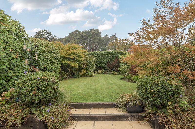 Beautiful Garden 