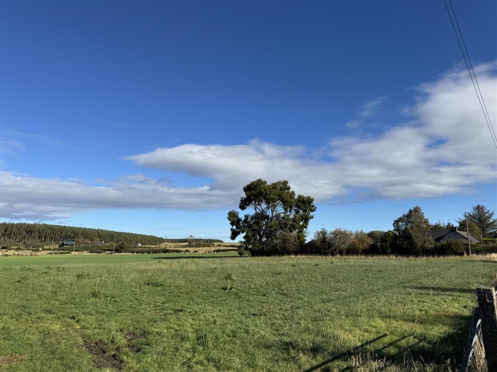 Plot 2 - Field
