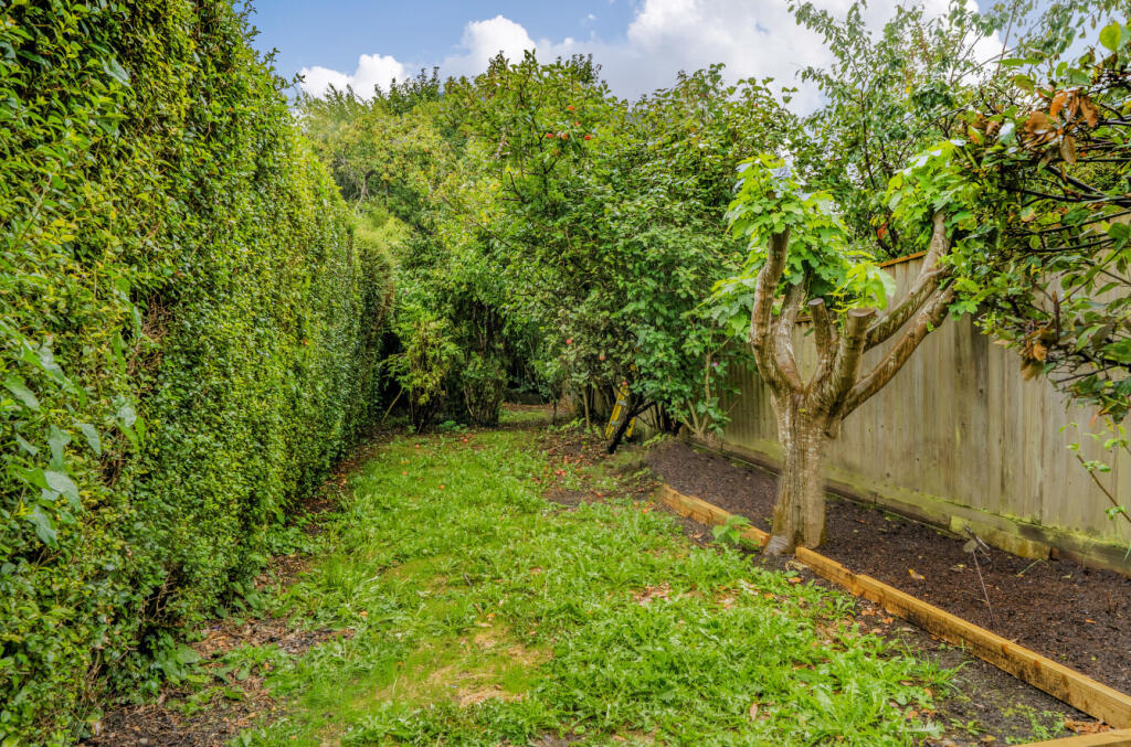 1350677-22-68c194...