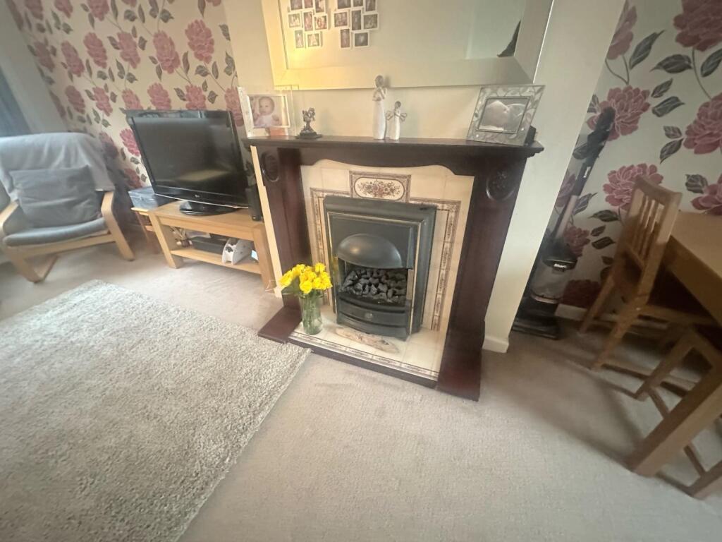 PHOTO-2025-01-23-17-55-05 19