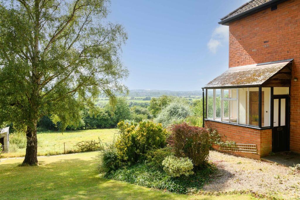 TEK HiRes 240827 038.jpeg