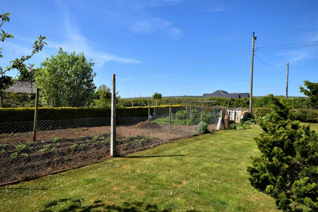 Vegetable Garden 2..JPG