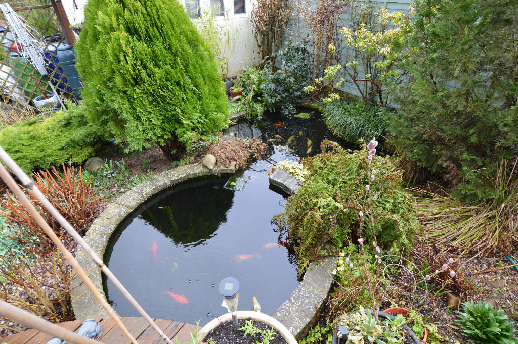 Fish Ponds