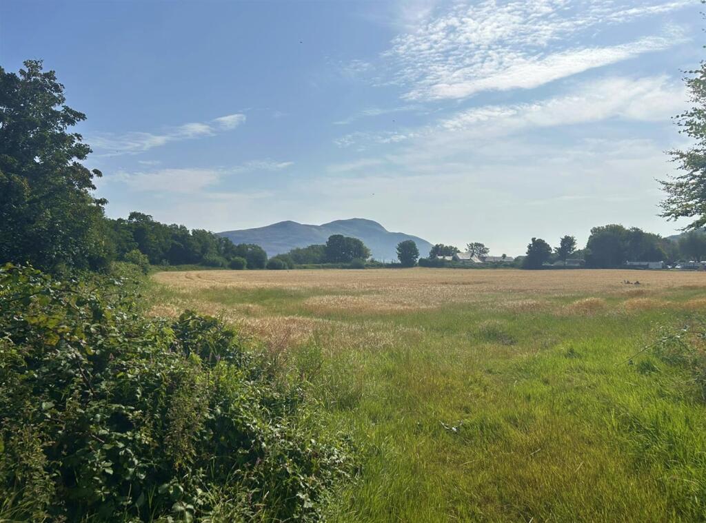 View from across the road