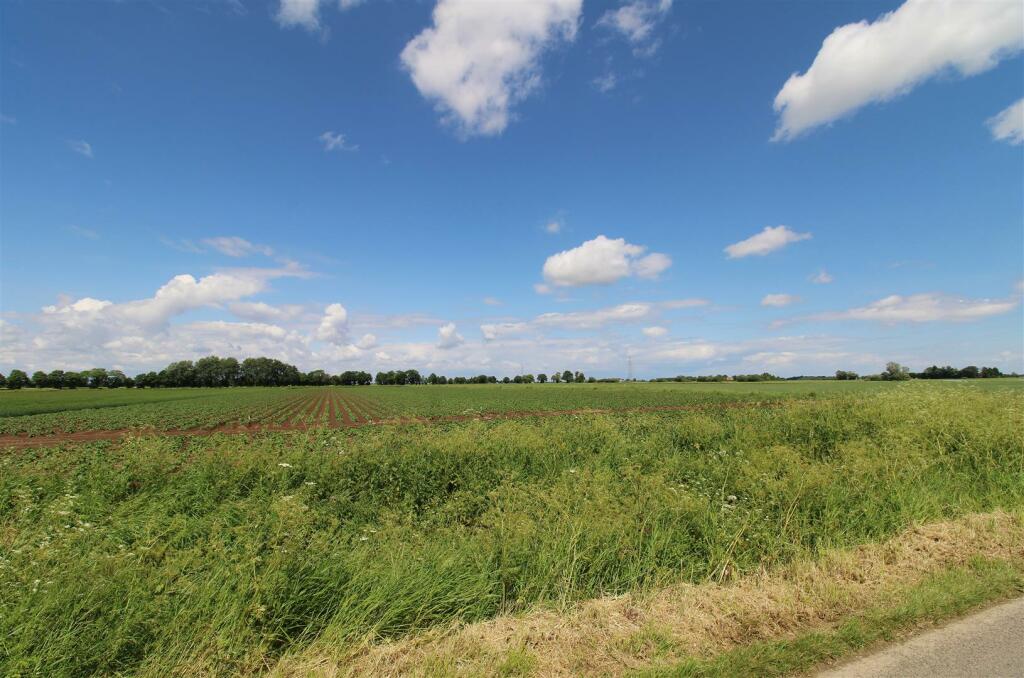 Field Views