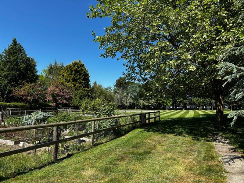 Veg plot to top garden