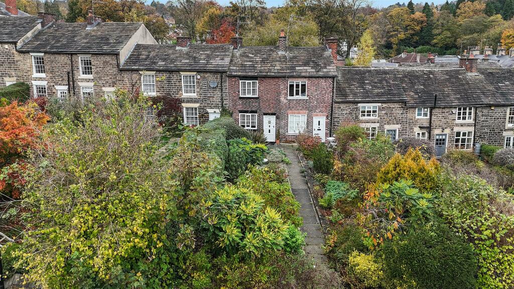 2024-11-01 13.54.02_1.jpg