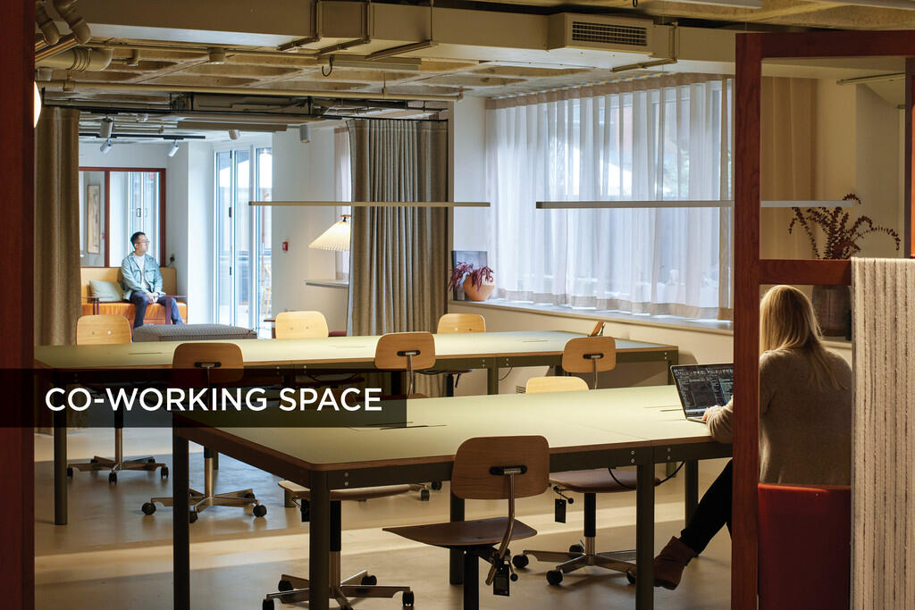 ROCO, 19 James Street, Liverpool