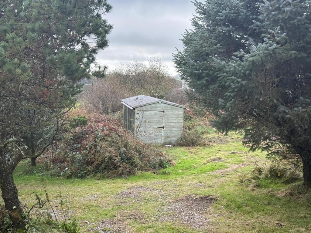 Garden6.jpg