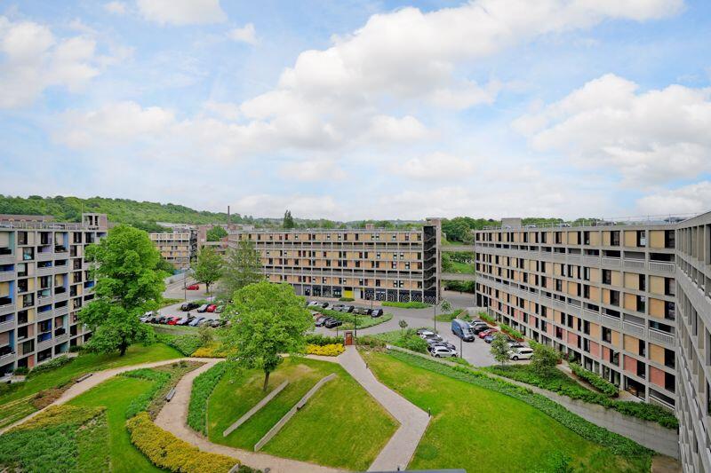 Park Hill 
