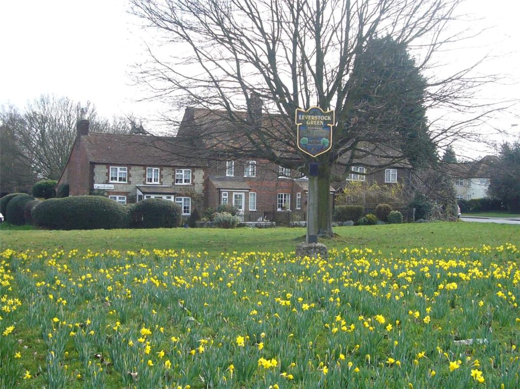View Of Green