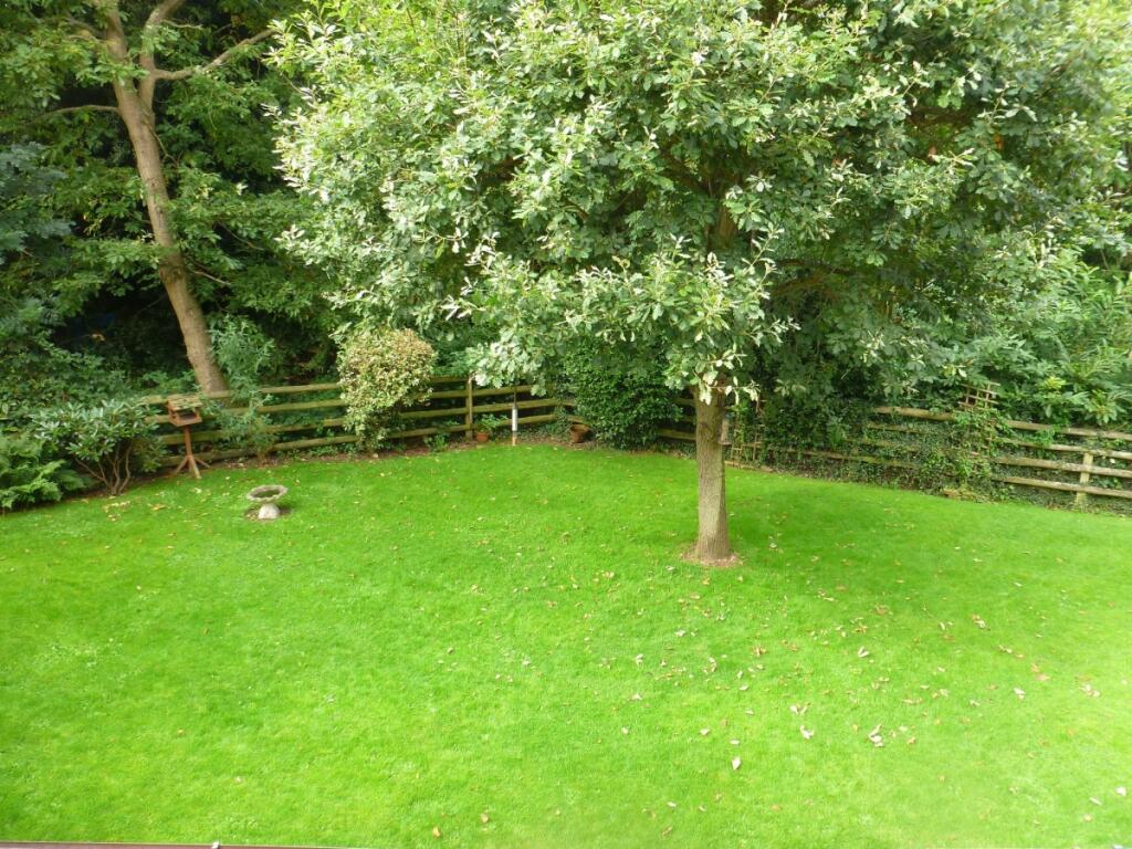 10stockwood 008ga...