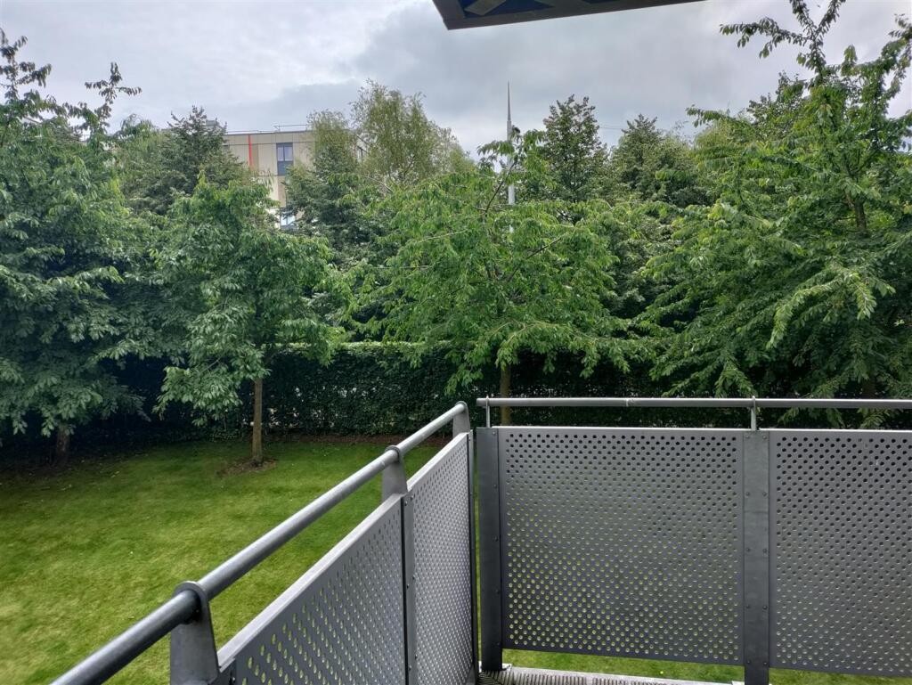 View from balcony.jpg