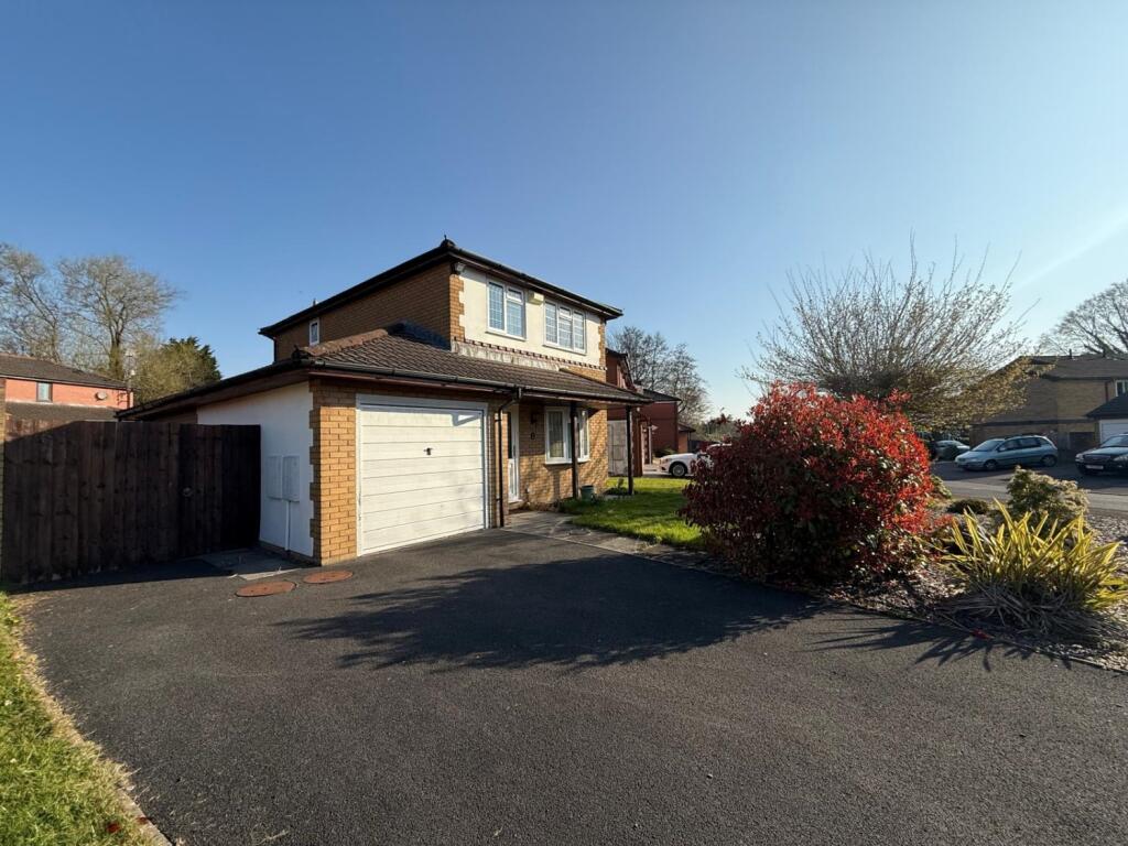 PHOTO-2025-04-02-13-28-14 13