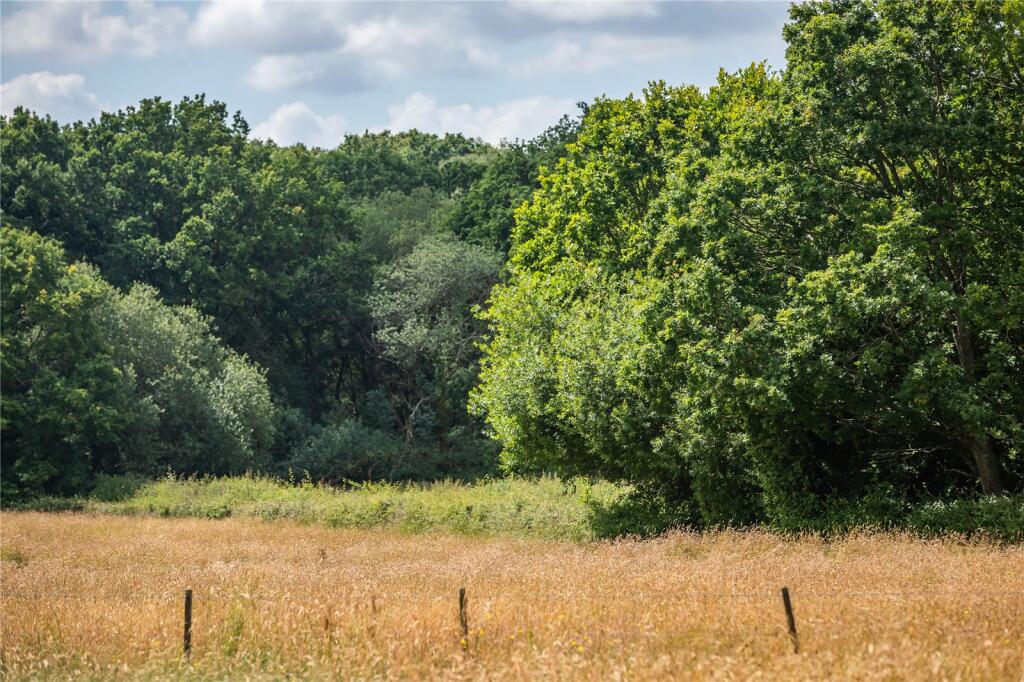 Grounds