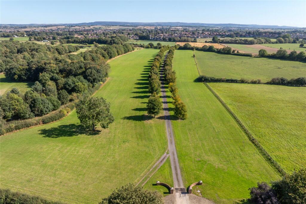 Tree Lined Driveway