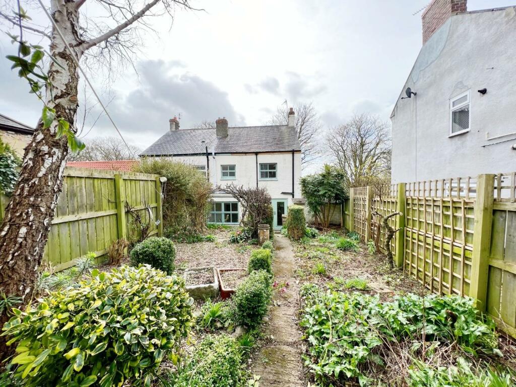 Garden pic 4.jpg