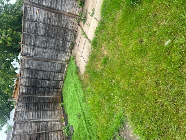 garden..jpg