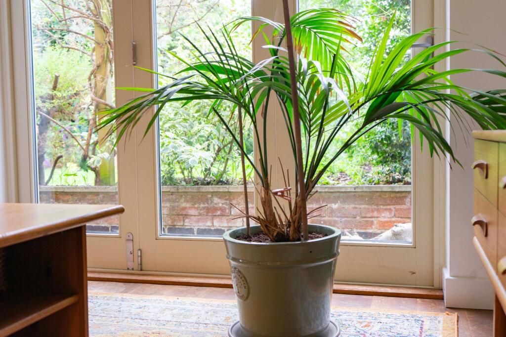 Open Plan Living Kitchen Dining Room