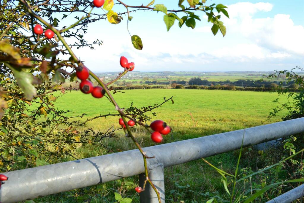 View with Berries.JPG