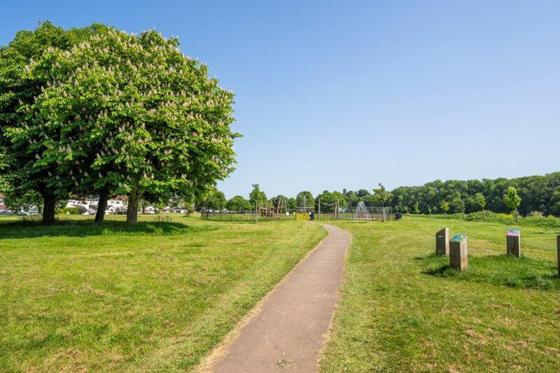 Local park 