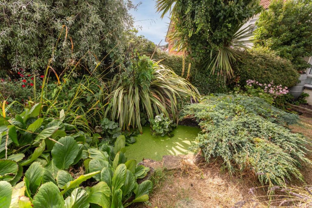 Stanstead Crescent-6.jpg