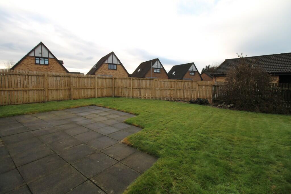Back Garden